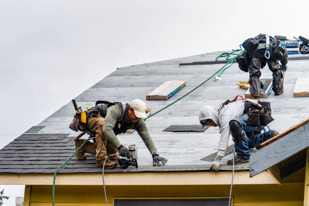 Professional Gutter Installation technician working in Lomax, IL